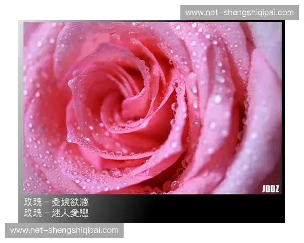 清澈之韵,浪漫之樱:一场关于纯粹与绽放的对话 清澈之韵,浪漫之樱:一场关于纯粹与绽放的对话